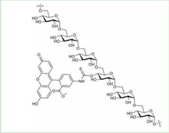 異硫氰基熒光素-葡聚糖