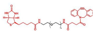 正交化學(xué)試劑DBCO(二苯并環(huán)辛炔)的多種定制產(chǎn)物