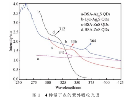 溶菌霉包裹Ag2S量子點(diǎn)