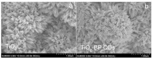 二氧化鈦/黑磷量子點復合材料