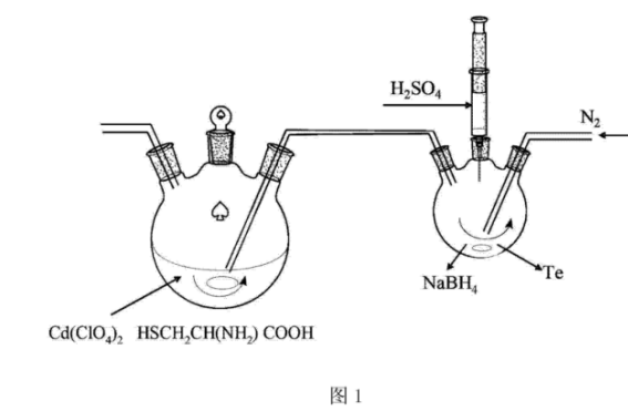 半胱氨酸表面修飾CdTe碲化鎘量子點