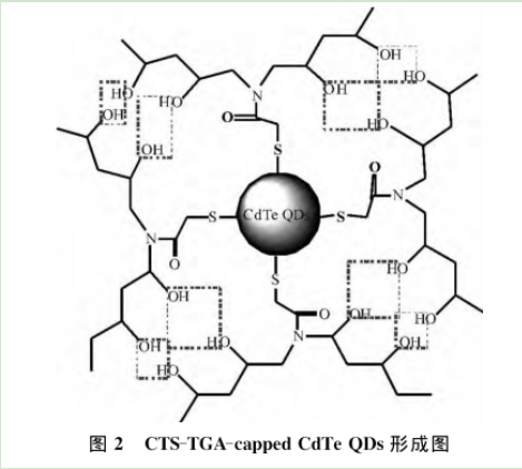 CTS/CdTeQDs