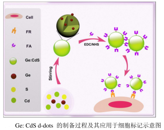 水溶性鍺摻雜硫化鎘量子點