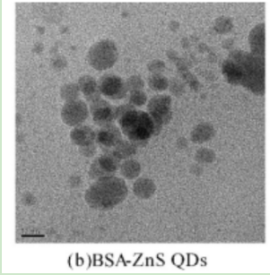 牛血清白蛋白包裹ZnS量子點