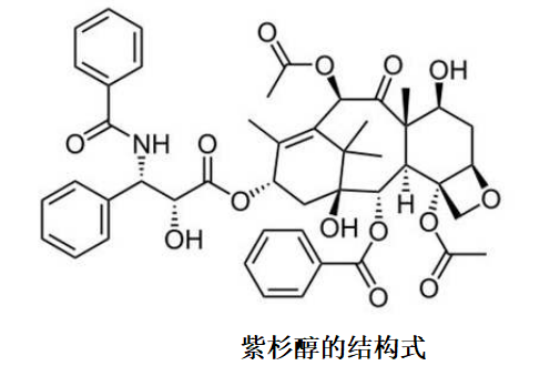 紫杉醇的結構式