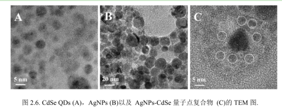 AgNPs-CdSeQDs納米復合物