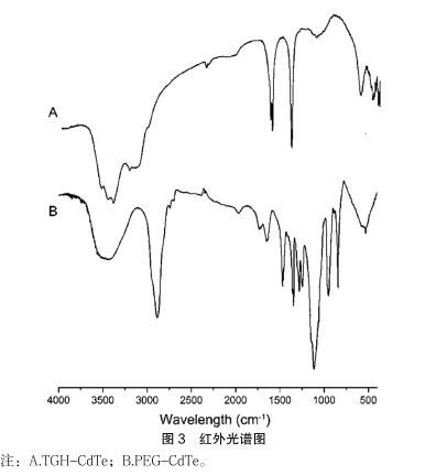 ：PEG修飾CdTe量子點(diǎn)