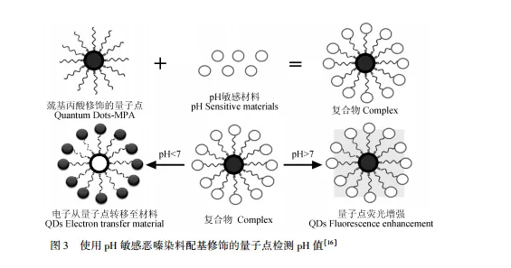 巰基丙酸修飾CdTe碲化鎘量子點(diǎn)