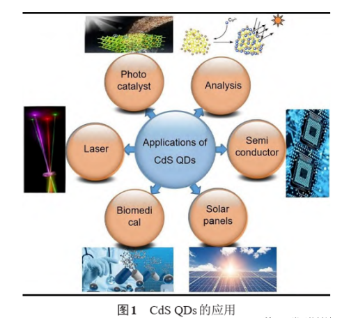 硫化鎘量子點修飾AIE熒光探針分子