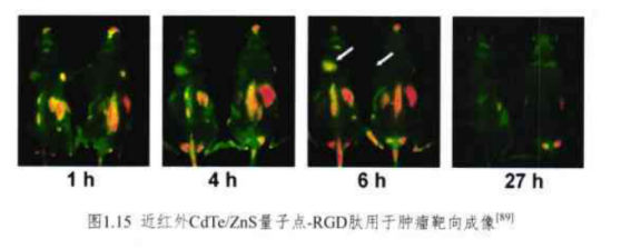 近紅外CdTe/ZnS量子點(diǎn)-RGD肽