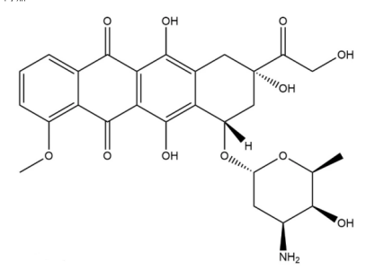 阿霉素