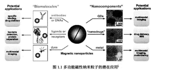 親水性Fe304磁性/ZnS量子點(diǎn)復(fù)合微球