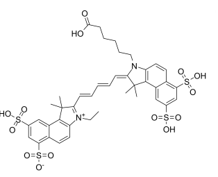 海藻酸鈉-近紅外染料CY5.5