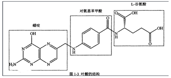 麥芽糖-葉酸