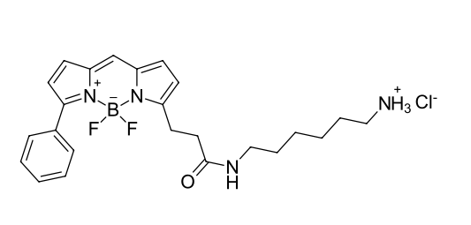 BDP R6G amine,cas2183473-06-3 (hydrochloride), 2183473-05-2