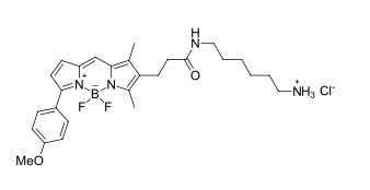 BDP TMR amine,cas2183473-08-5 (free base)