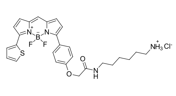 BDP TR amine, cas 2183473-18-7