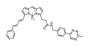 BDP 581/591 tetrazine 具有紅色發射的硼二吡咯烯染料