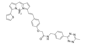 BDP 630/650 tetrazine 具有紅色發射的硼二吡咯烷染料