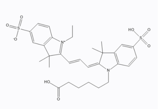 麥芽糖-熒光染料CY3