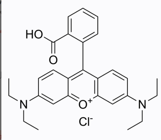 麥芽糖-羅丹明B