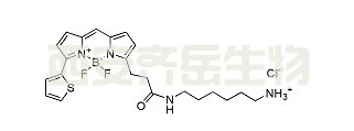 BDP 558/568 amine