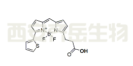 cas:  150173-72-1，BDP 558/568 carboxylic acid