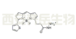 BDP 558/568 hydrazide