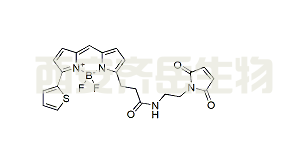 BDP 558/568 maleimide