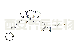 BDP 581/591 azide，CAS: 2183473-20-1