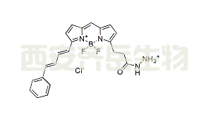 BDP 581/591 hydrazide CAS: 2183473-40-5