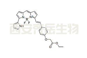 BDP 650/665 lipid stain