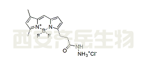 BDP FL hydrazide,CAS: 2183473-45-0