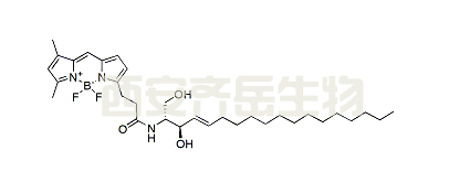 BDP FL ceramide,CAS: 2730893-01-1