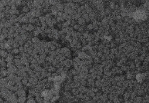 Gold Nanorods，長徑比為5（濃度0.5mg/ml）